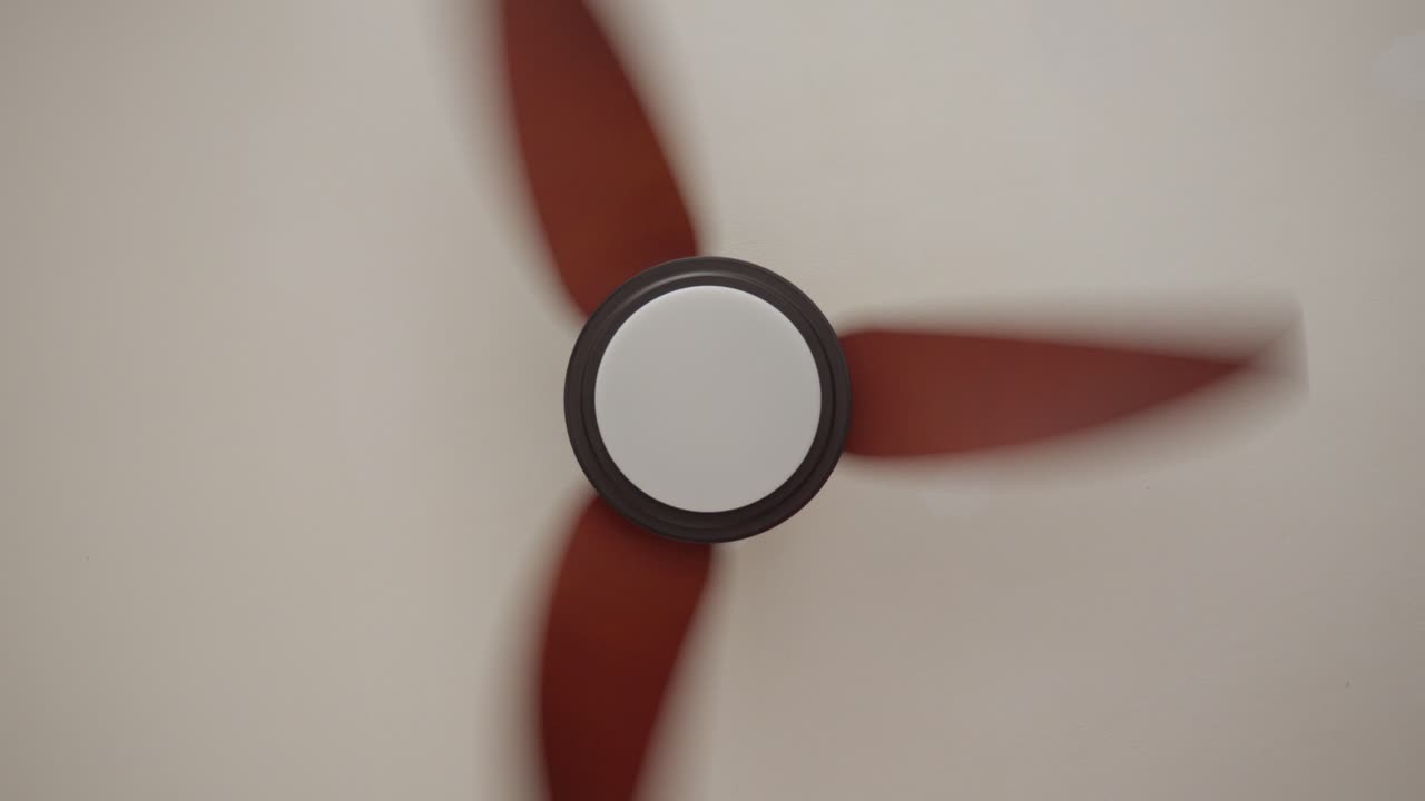 탑재된 조명 장치가 장착된 천장 팬