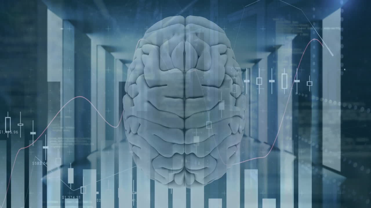 animación de las estadísticas y el procesamiento de datos financieros sobre el cerebro humano