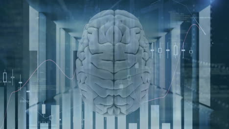 animation of statistics and financial data processing over human brain