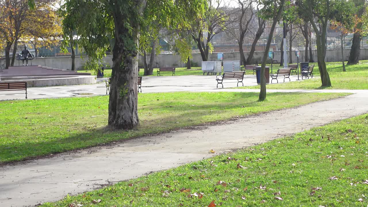 Park Scene with Path and Benches