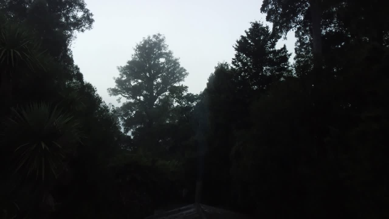 Cozinha ao ar livre em um dia de neblina no interior de uma floresta nativa da Nova Zelândia.