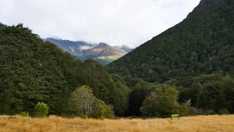 sendero de senderismo de nueva zelanda bosques y montañas