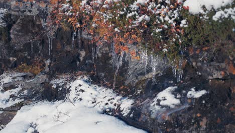 Eine-Nahaufnahme-Der-Zerbrechlichen-Eiszapfen,-Die-An-Den-Gefrorenen-Zweigen-Hängen-Und-Dünne-Schatten-Werfen