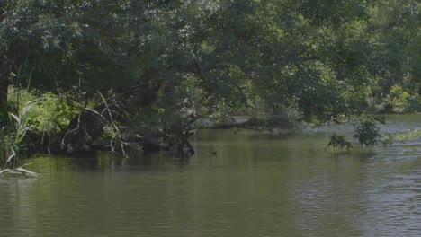 Crucero-Por-El-Río-A-Cámara-Lenta