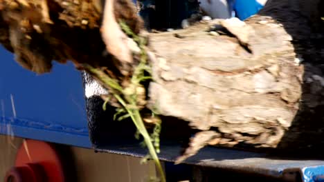 Cutting firewood circular saw blade
