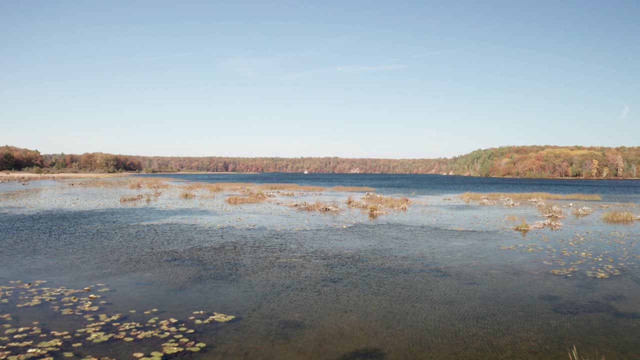 드론 비디오가 낮고 앞으로 움직이는 가을 색 동안 미시간의 오 세이블 강