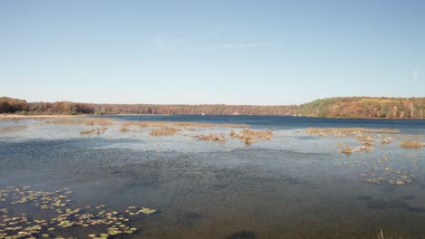 Au-Sable-River-in-Michigan-during-fall-colors-with-drone-video-moving-low-and-forward