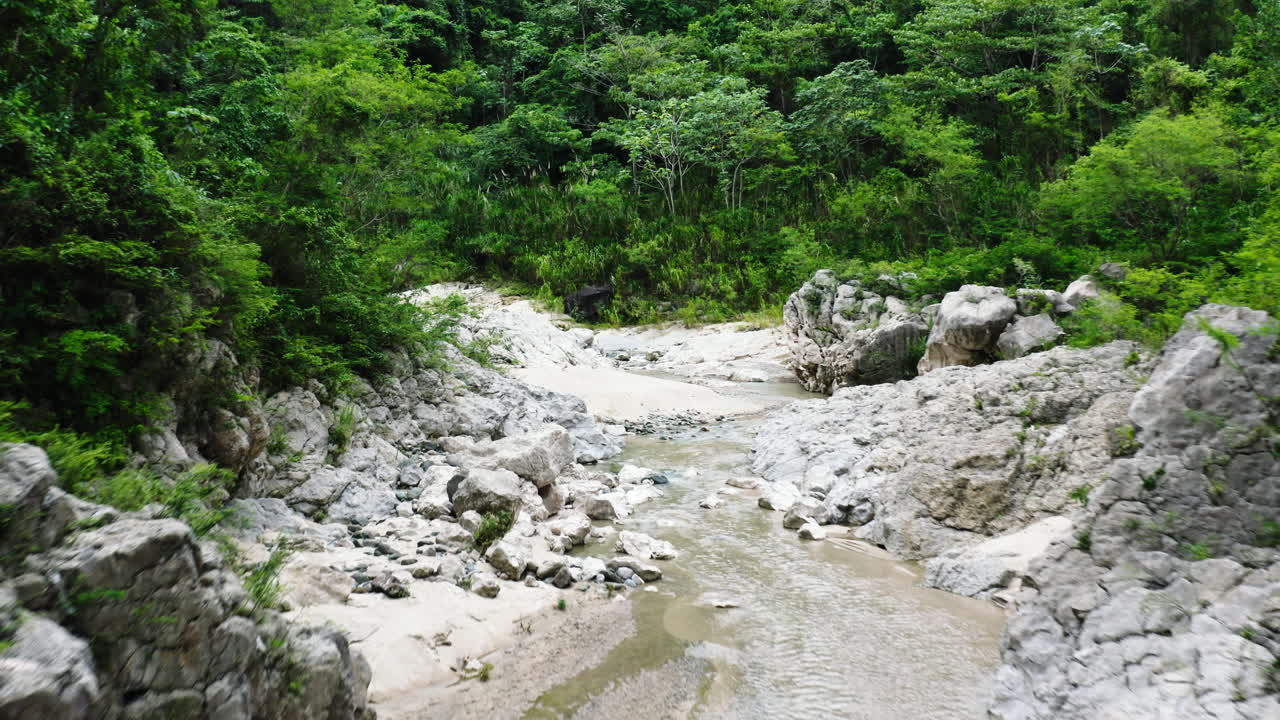 agua limpia y clara que fluye a través del río nizao con bosque verde durante el día