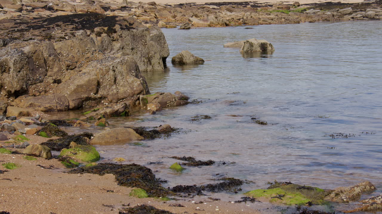 Mid shot of gentle waves lapping at rocks at Kingsbarns Beach, Cambo Sands,