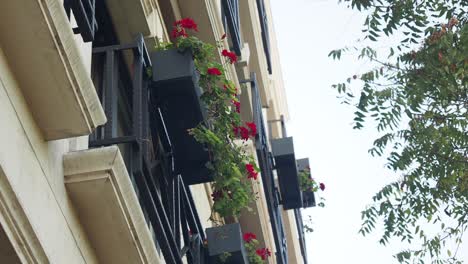 building with flowers on balconies