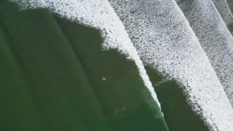 top-down shot of surfers waiting to catch waves at lahinch beach, ireland