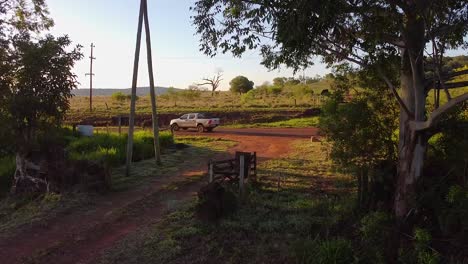 aerial view of pickup truck on road leaving yerba mate plantation in misiones, argentina