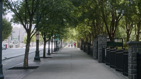 city park sidewalk with trees