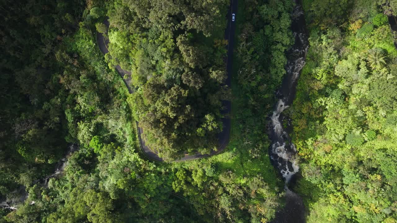 la exuberante vegetación a lo largo de la sinuosa carretera y el río en la pintoresca autopista hana de maui
