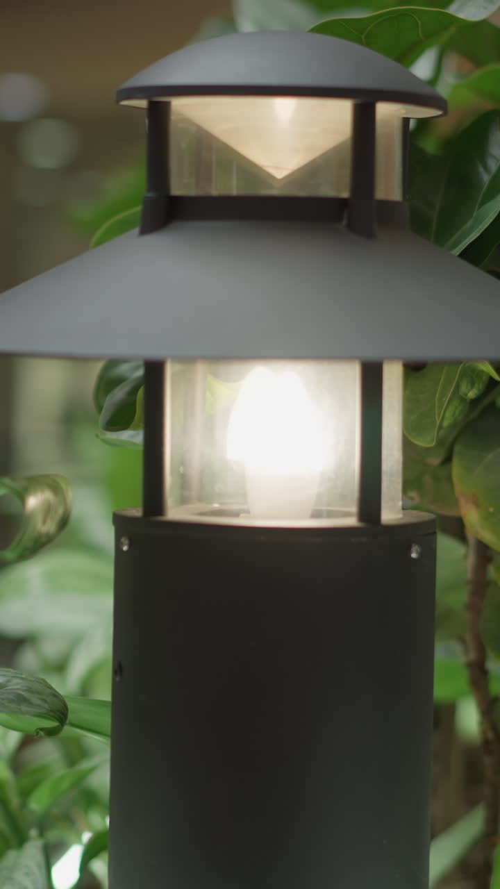 lámpara al aire libre en el jardín ilumina las plantas verdes exuberantes, mostrando intrincados patrones de hojas y iluminación ambiental serena para una escena tranquila y natural