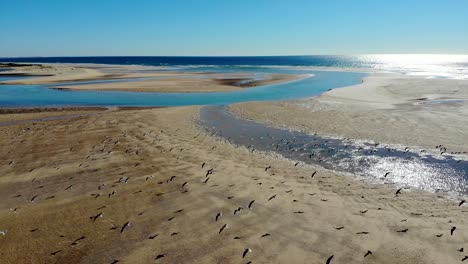 aerial view over beach in portugal 3