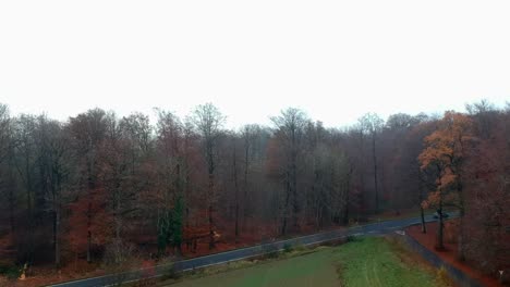 coches circulando por el bosque