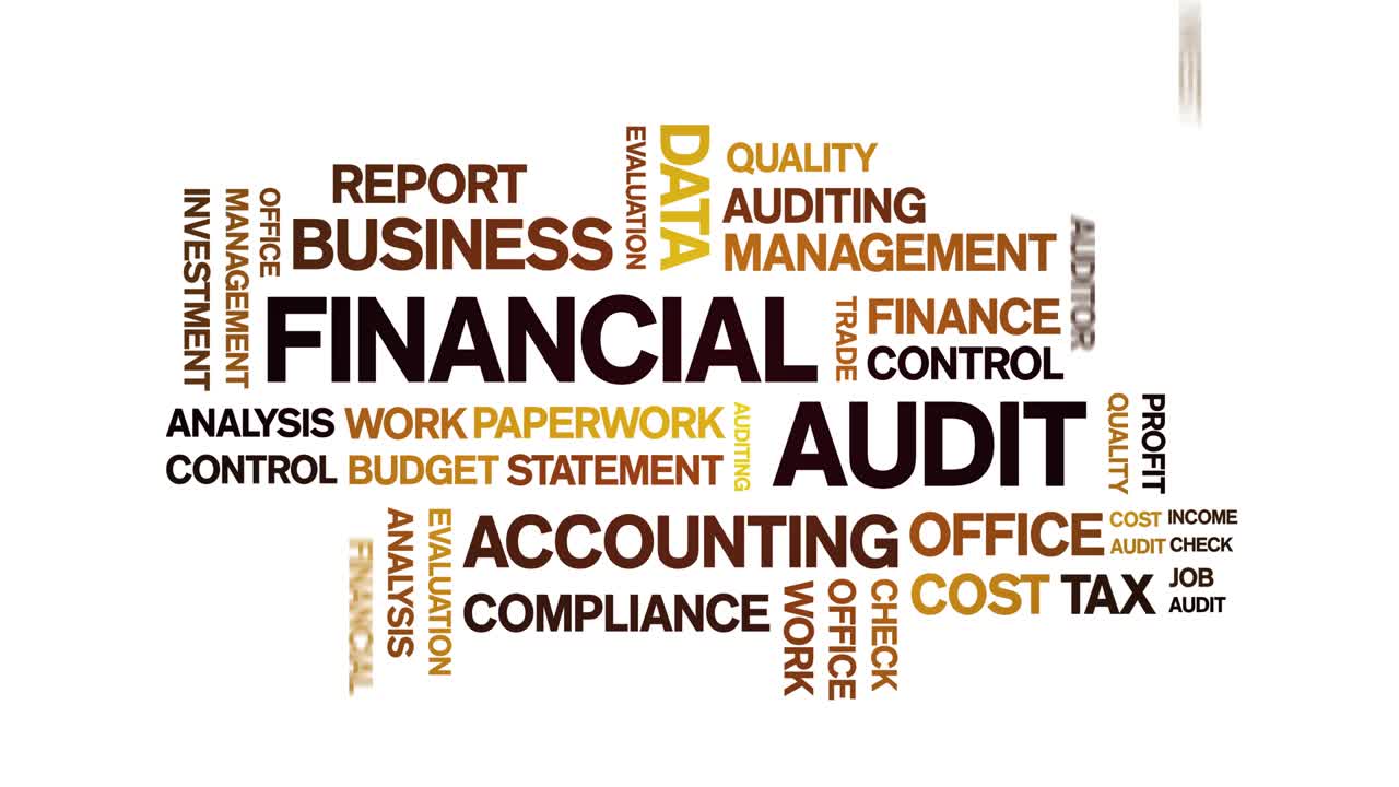 4k Financial Audit Animated Tag Word Cloud,Text Design Animation seamless loop.