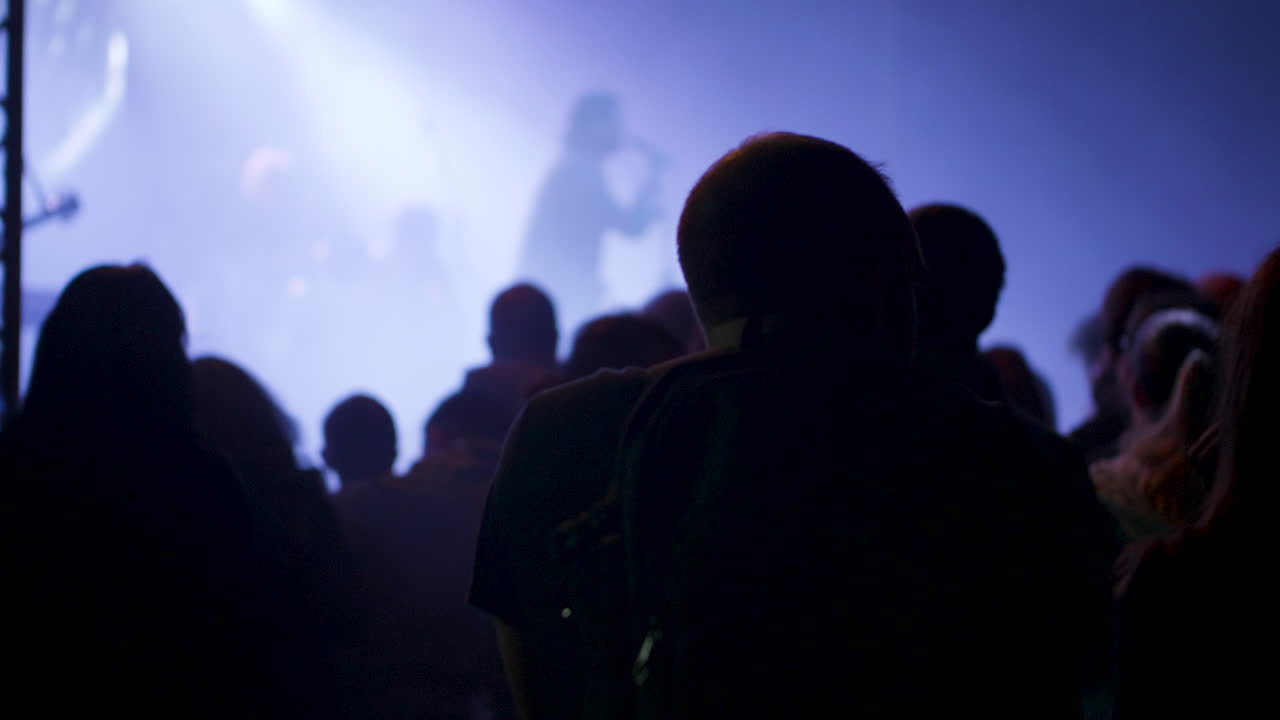 Folla a un concerto