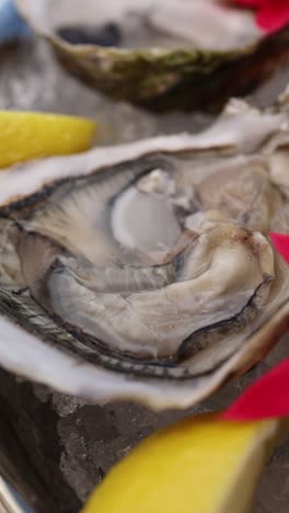 fresh oysters on ice