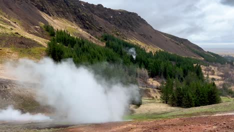 natural steam rising from the ground - hveragerdi, south iceland