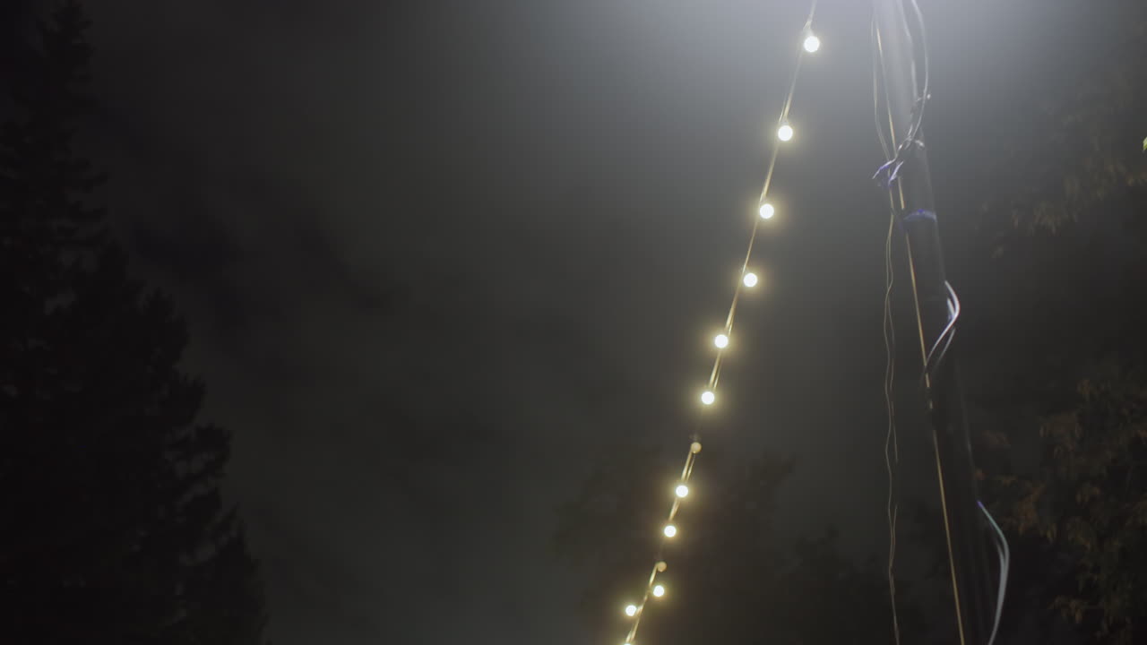 Scenic night view featuring decorative glowing bulbs and leaves brightly illuminated by street lamp under cloudy dark sky creating calm atmospheric outdoor night environment