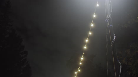Scenic night view featuring decorative glowing bulbs and leaves brightly illuminated by street lamp under cloudy dark sky creating calm atmospheric outdoor night environment