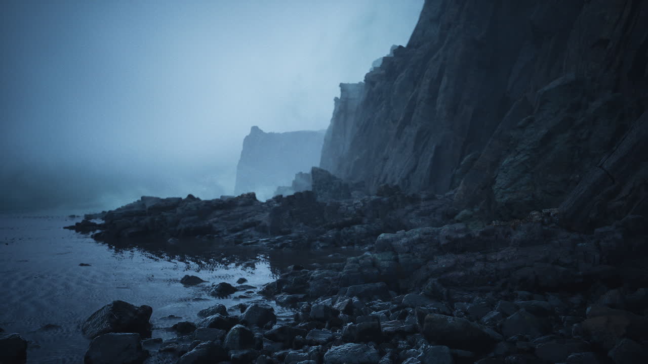 Coastal scene ambiance rugged shoreline featuring algae and seagull sounds