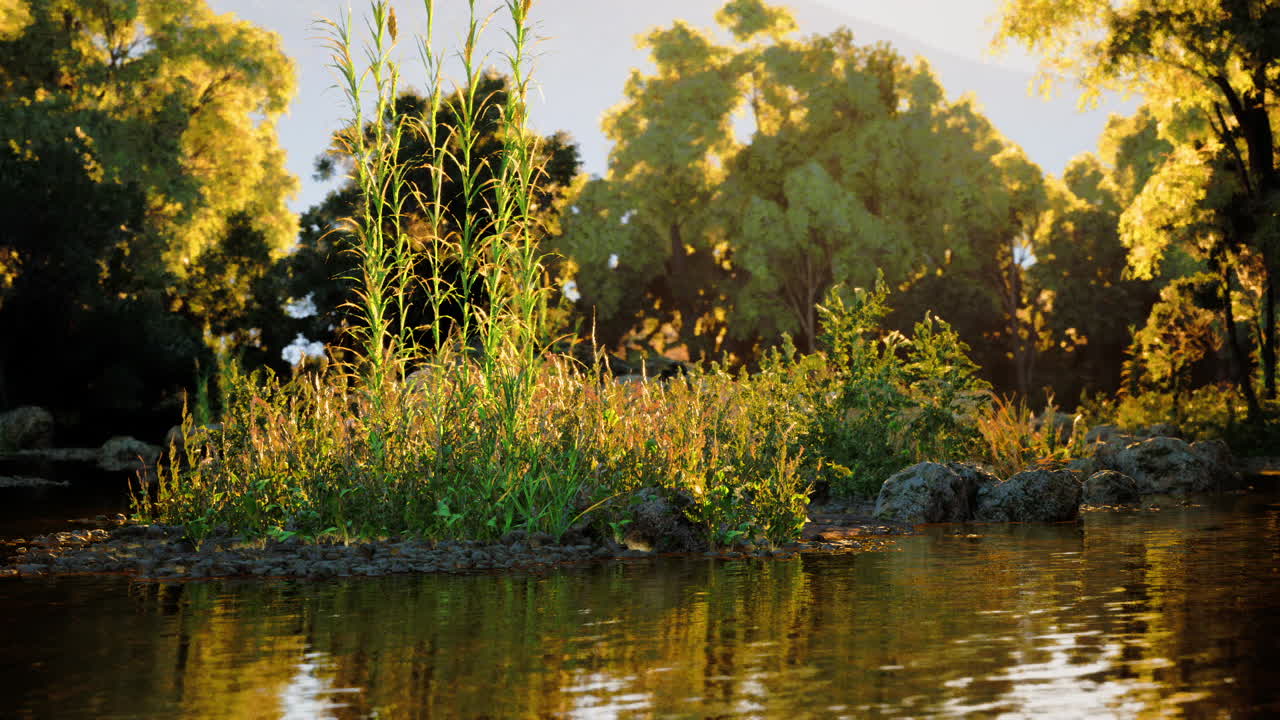 Lush green island in serene waters during golden hour light