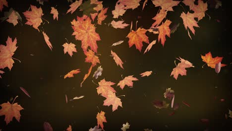 autumn leaves falling slowly on defocused background