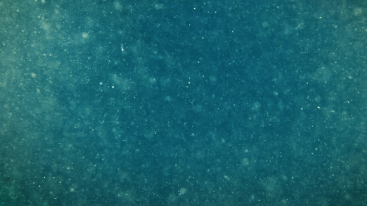 추상적인 수중 배경. 더러운 물 클로즈업.