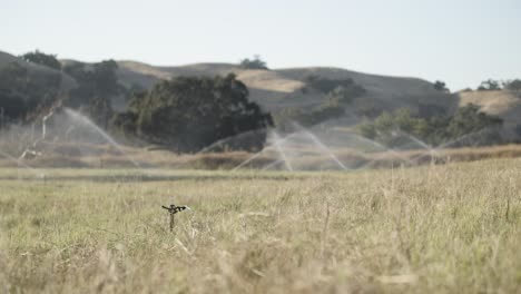 Landwirtschaftliches-Wassersystem,-Das-Den-Letzten-Sprinkler-Unter-Druck-Setzt