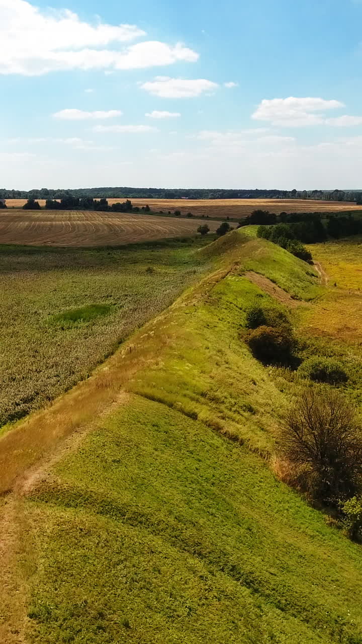 Summer green landscape under blue skies. Long hill separating meadows from agricultural farmlands. Top view. Vertical video
