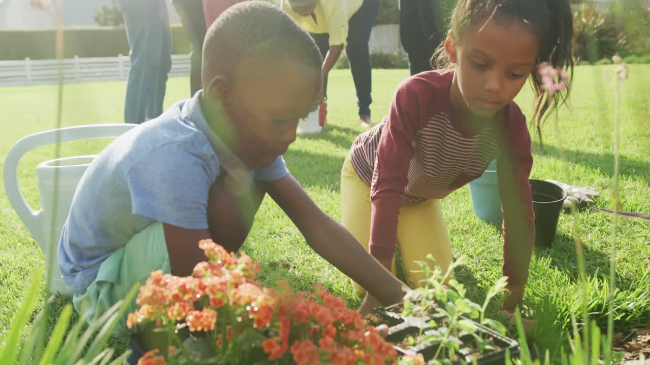 Vidéo d'une famille afro-américaine heureuse passant du temps ensemble dans le jardin.