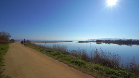 mouth of the river ter in girona natural park of europe