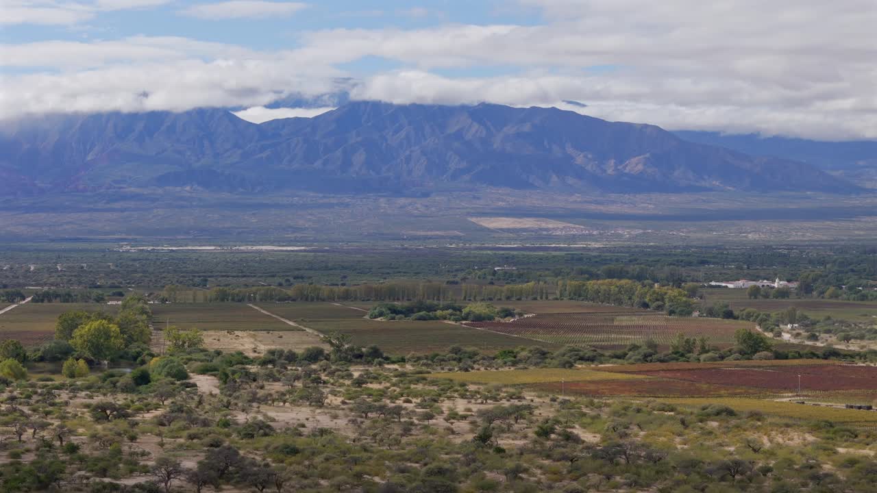 una vista panorámica revela viñedos interminables en primer plano, mientras que las altas montañas de los andes se elevan en el fondo, en cafayate, salta, argentina