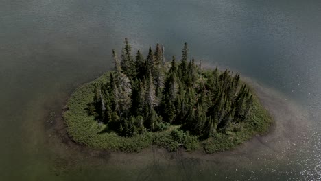 Grupo-De-Abetos-En-Una-Pequeña-Isla-Rodeada-De-Agua-En-El-Lago-Perdido,-Grúa-Aérea-De-Drones,-Parque-Nacional-Gaspésie,-Quebec