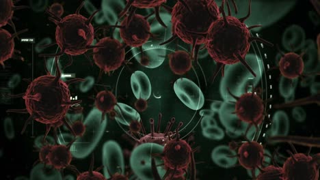 virus que se mueve en la pantalla con células sanguíneas 4k