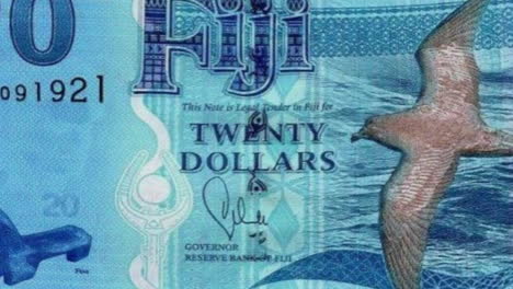 fiji twenty dollar bill with green screen and detail shots