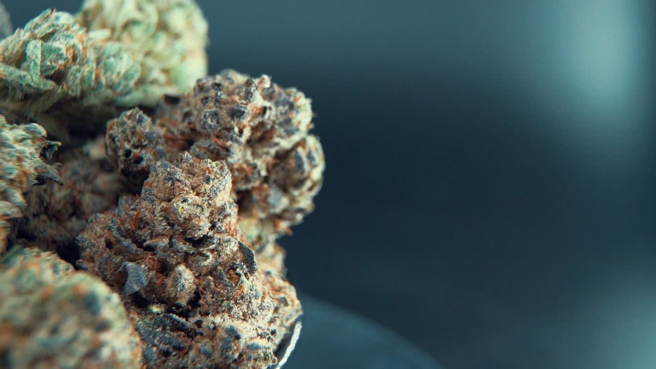 A macro close up crispy shot of a cannabis plant, marijuana flower, hybrid strains, Indica and sativa, on a 360 rotating stand in a shiny bowl, 120 fps slow motion Full HD video, studio lighting