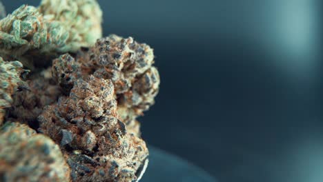 A-macro-close-up-crispy-shot-of-a-cannabis-plant,-marijuana-flower,-hybrid-strains,-Indica-and-sativa,-on-a-360-rotating-stand-in-a-shiny-bowl,-120-fps-slow-motion-Full-HD-video,-studio-lighting