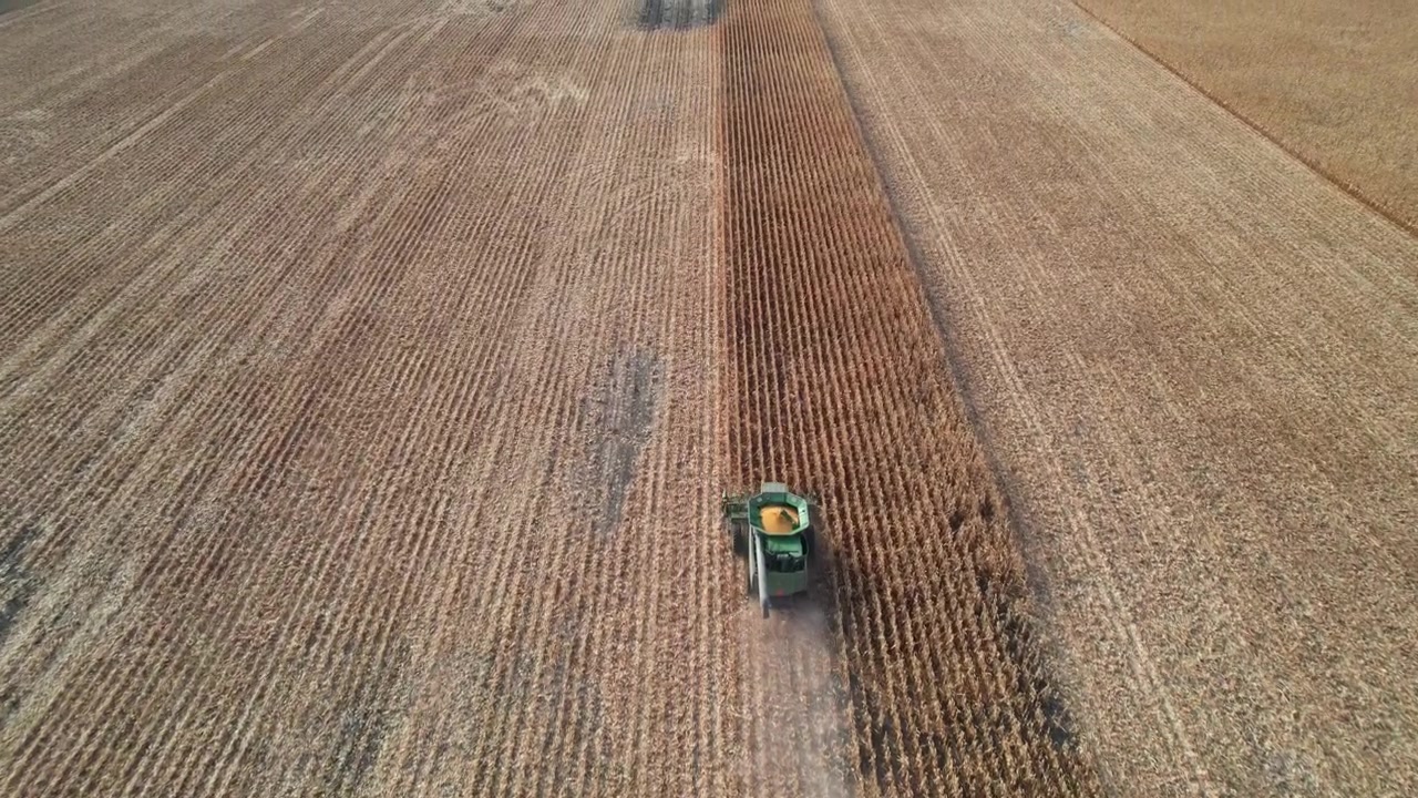Successiva ripresa aerea di una mietitrebbia su un campo di mais nel Dakota del Sud, USA.
