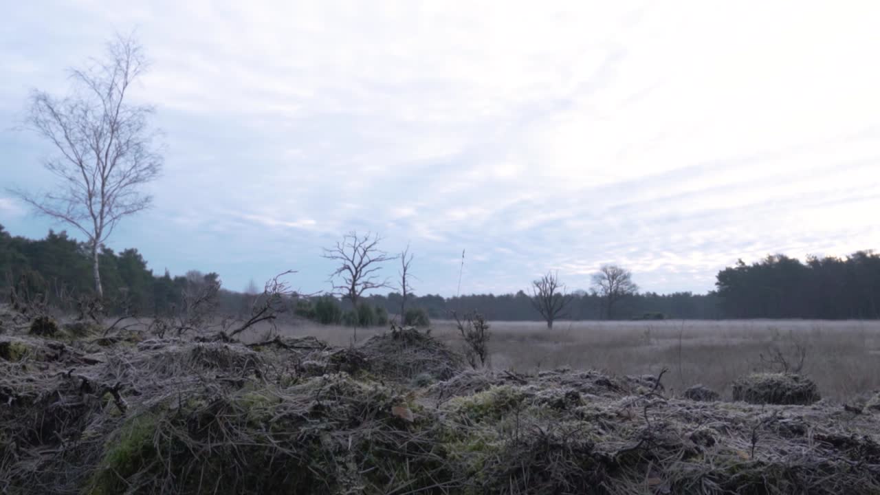 얼어붙은 겨울 풍경