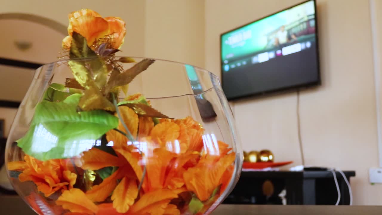 Slow motion detail view with a slow push-in on the plant kept in the clear glass in the lounge or sitting room kept on the table with television background at Harare Zimbabwe.