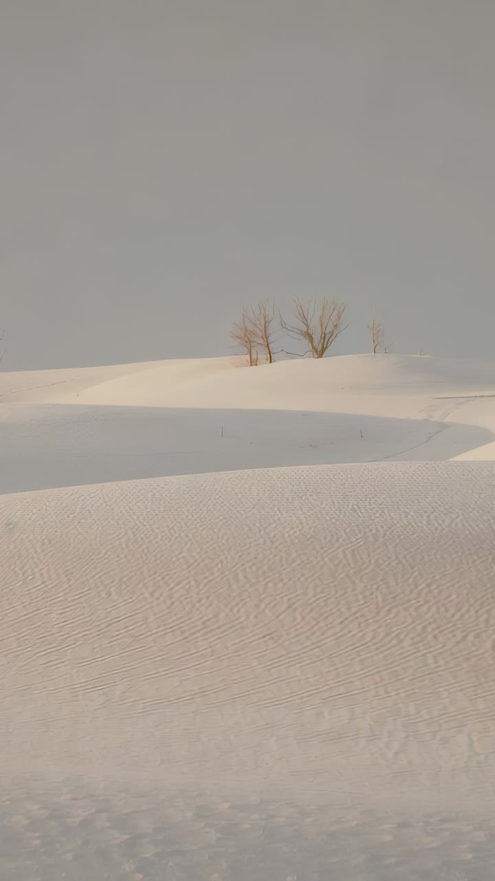 Vertical video: Panning camera after shift, centering leafless trees on dune ridge and faint track