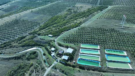 aerial shot captures a vast agricultural estate, featuring rows of orchards or vineyards. the most striking element is a cluster of blue-green water reservoirs, essential for irrigation
