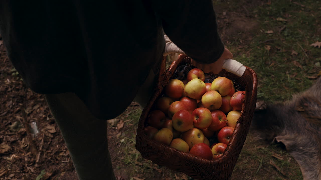 Person Carrying a Basket of Apples in the Woods