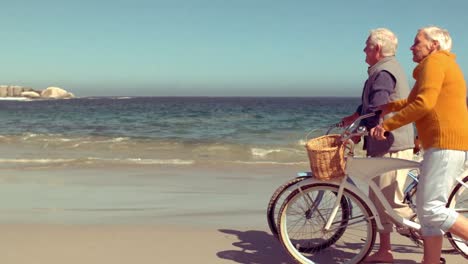 Pacífica-Pareja-De-Ancianos-Caminando-Con-Bicicletas