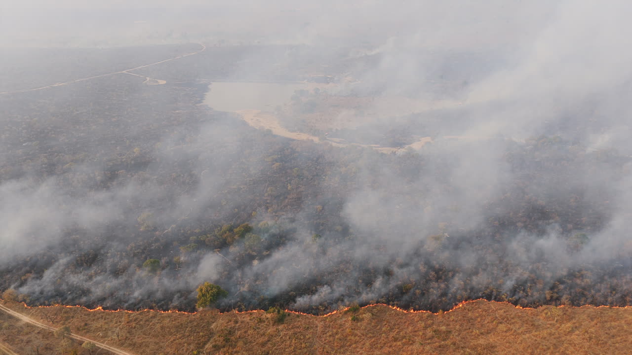 A line of flames separates burnt terrain from golden grassland, a striking contrast from above