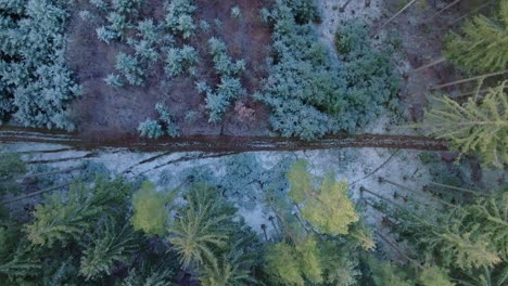 Aerial-top-down-ascending-shot-of-a-snowy-trail-road-in-a-pinewood-forest